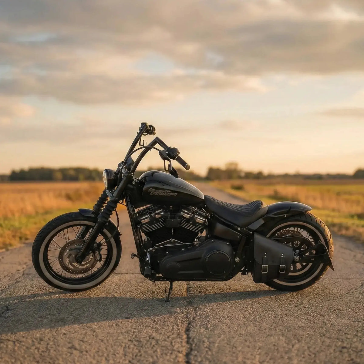H-D® Pre-2017 Softail Left Side Solo Bag - SHL01